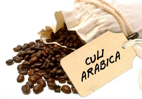 Arabica-Culi Coffee