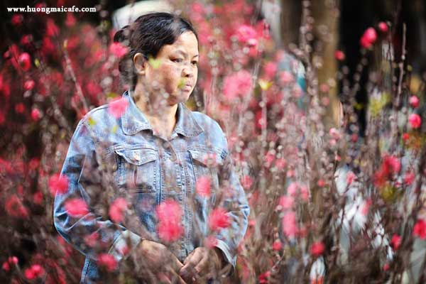 Things you may not know about Vietnam Lunar New Year 2016