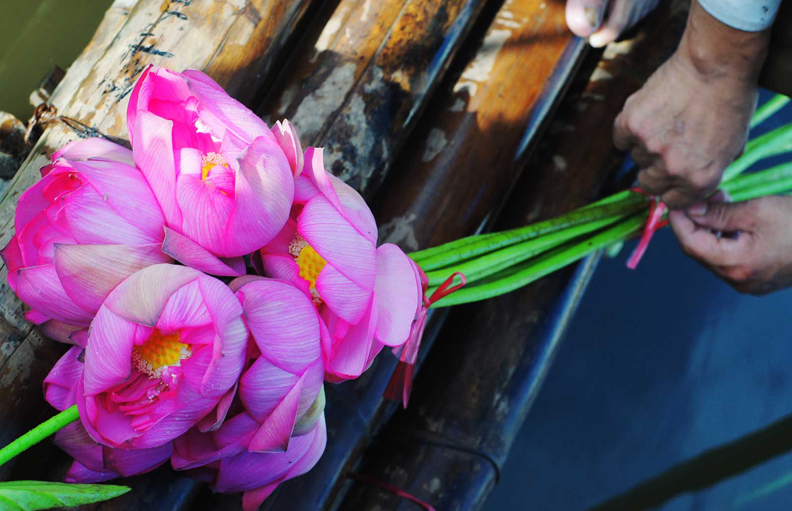 Vietnamese Lotus tea – How to serve