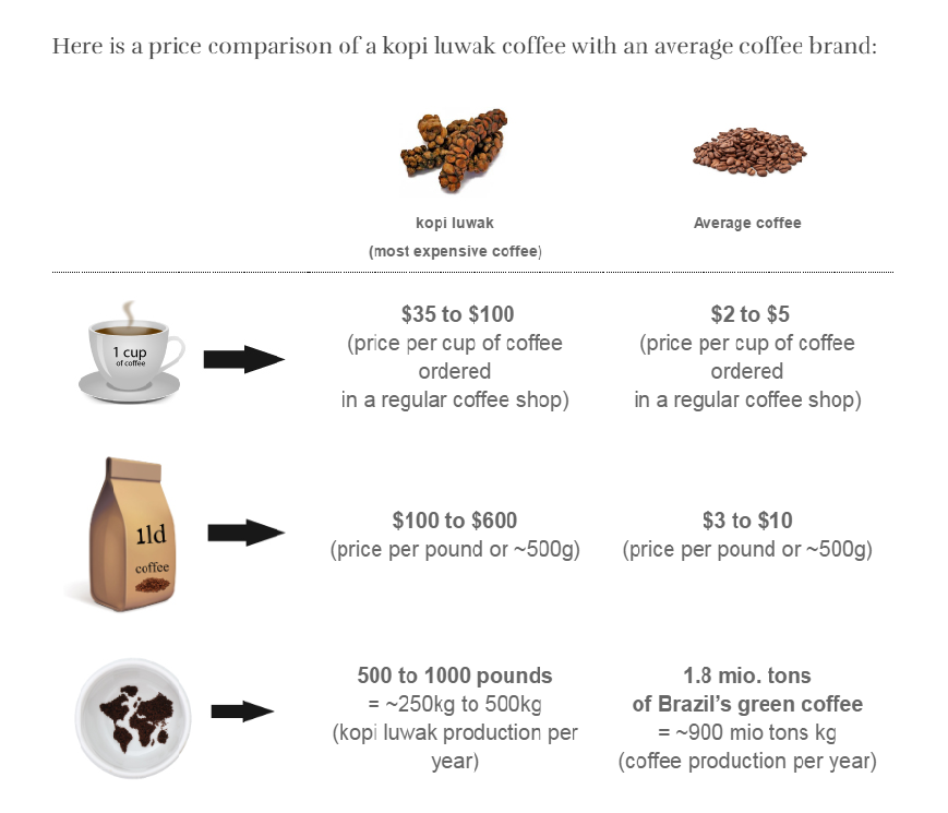 Kopi Luwak Coffee Story