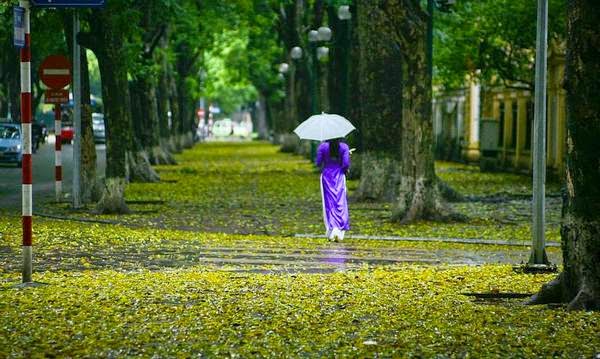 hanoi in rainy day