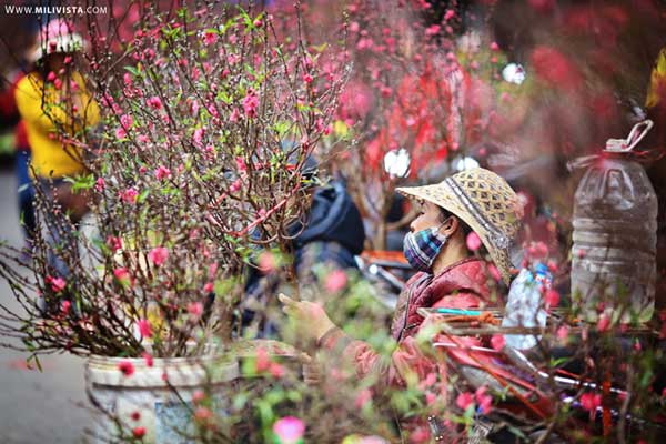 Lunar New Year in Vietnam