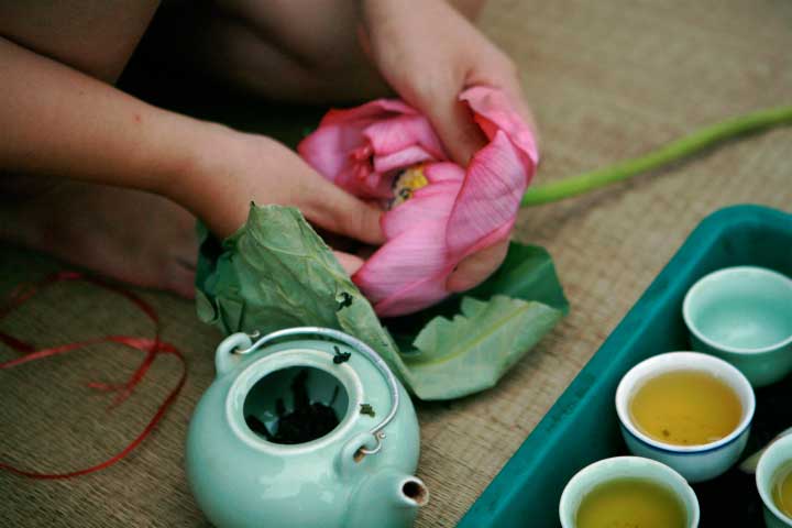 Lotus tea is not only great in flavour but also very good for health