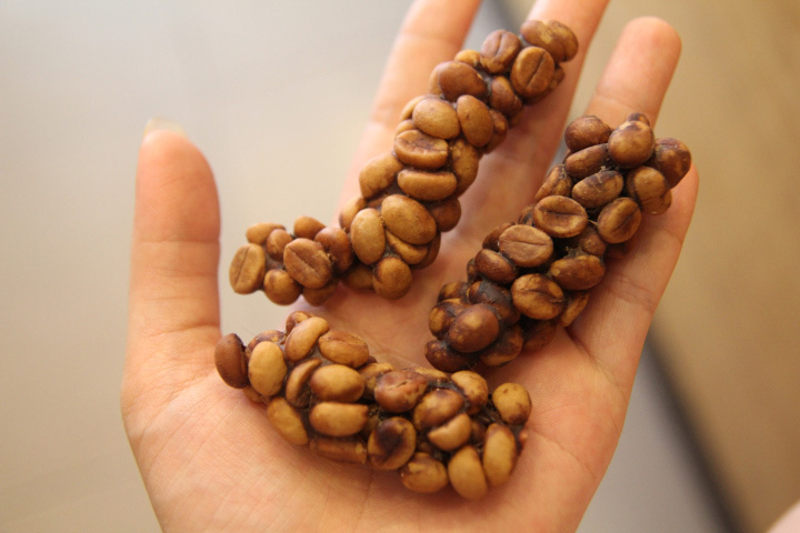 Weasel’s poops at Huongmai Cafe. It’s poop, not flesh